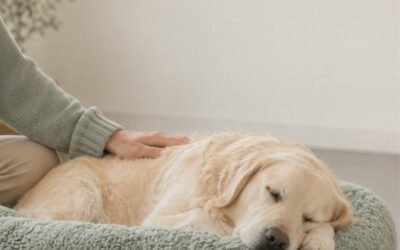 Test Post 1